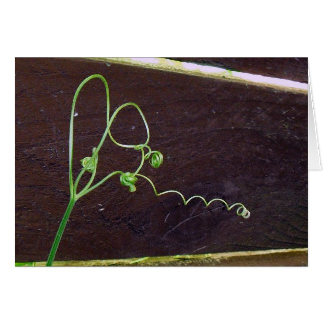 性質のハートのひも (正面横)