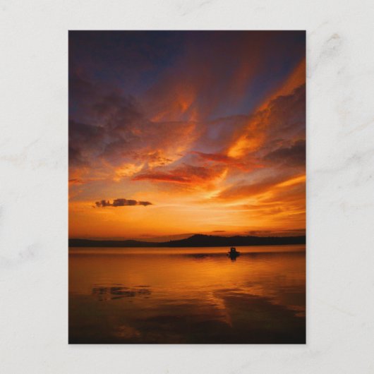 性質のパレットの郵便はがき ポストカード (正面)