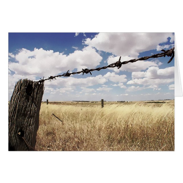 性質の境界カード (正面横)