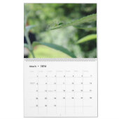 性質の小さい創造物のマクロ写真撮影 カレンダー (3月 2026)