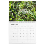 性質の小さい創造物のマクロ写真撮影 カレンダー (2月 2026)