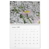 性質の小さい創造物のマクロ写真撮影 カレンダー (1月 2027)