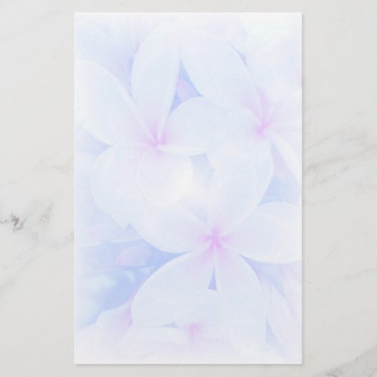 性質の庭 便箋 (正面)