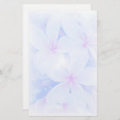 性質の庭 便箋 (正面/裏面)