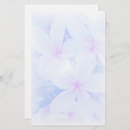 性質の庭 便箋 (正面/裏面)