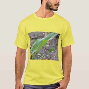 性質の清潔になること Tシャツ