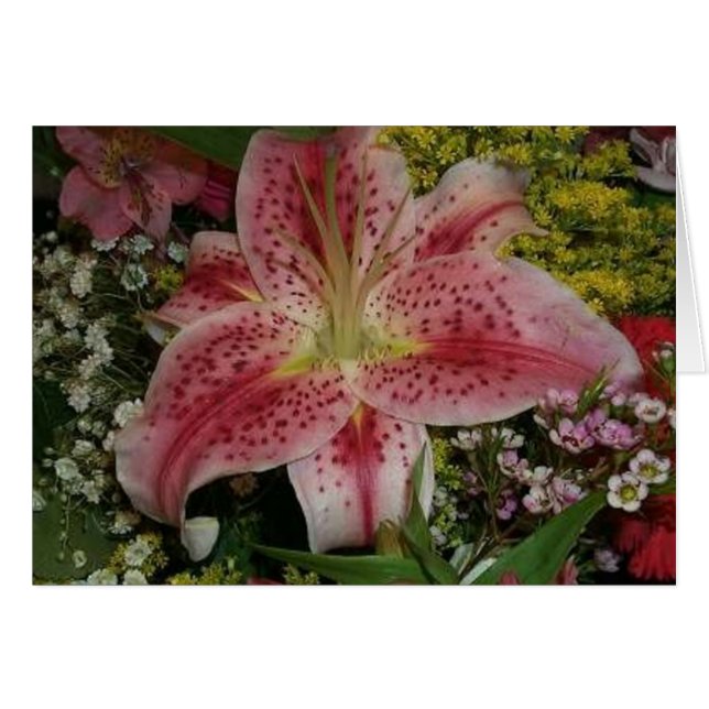 性質の美しい (正面横)