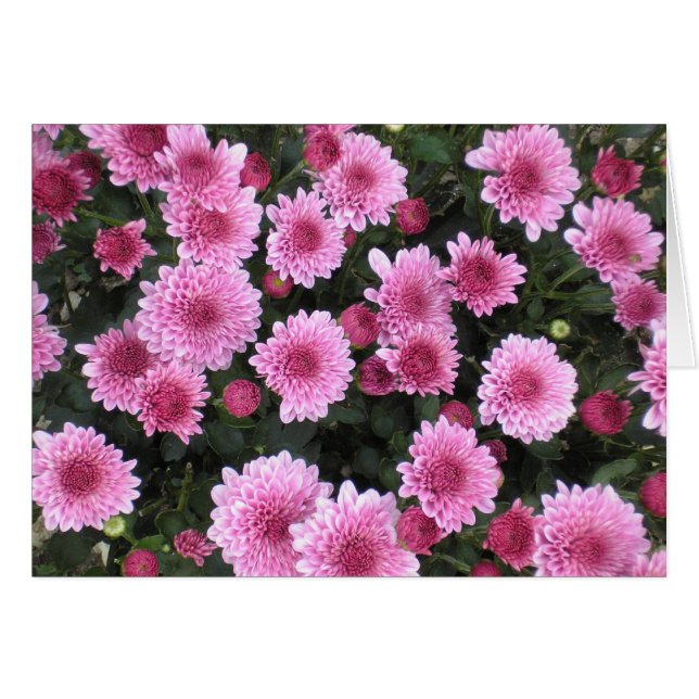 性質の花束シリーズ(春) (正面横)
