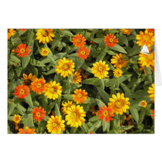 性質の花束シリーズ(秋)