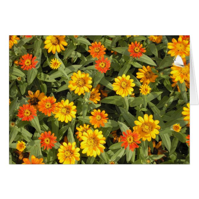 性質の花束シリーズ(秋) (正面横)