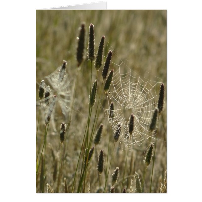 性質の芸術家 (正面)