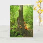 性質の芸術: Beartownの州の森林引用文中 カード (黄色い花)