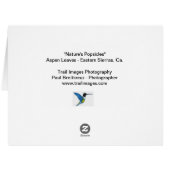 "性質アイスキャンデー" (裏面横)