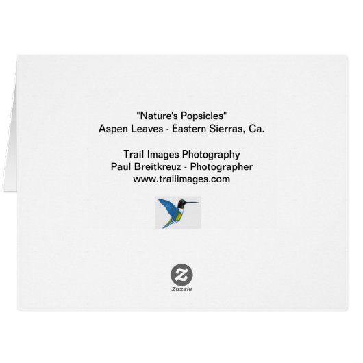 "性質アイスキャンデー" (裏面横)