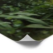 性質美しい ポスター (角)