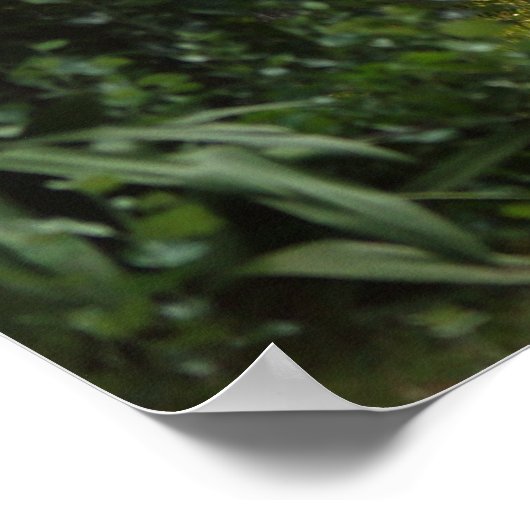 性質美しい ポスター (角)