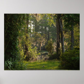 性質美しい ポスター