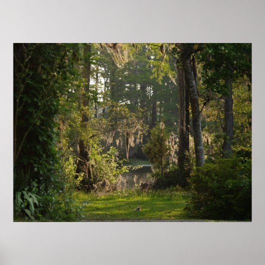 性質美しい ポスター (正面)