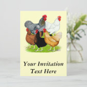 性連鎖鶏 招待状 (スタンド正面)