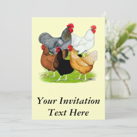 性連鎖鶏 招待状 (スタンド正面)