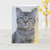 怪おもしろいしい猫のカード カード (黄色い花)