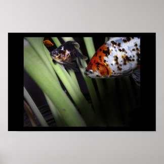 怪しい商売 ポスター