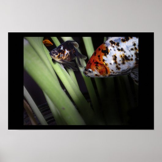 怪しい商売 ポスター (正面)