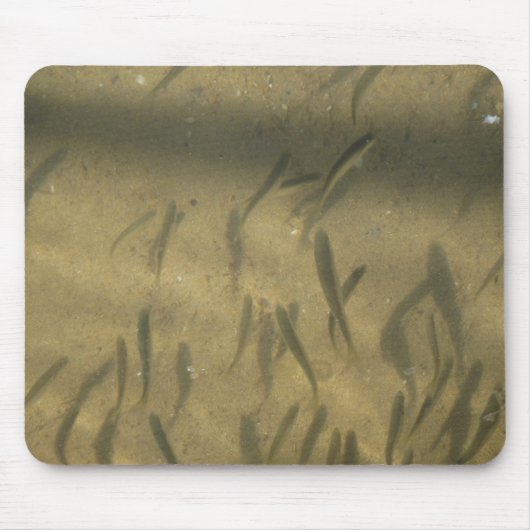 怪しい話 マウスパッド (正面)