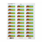 怪物カラフルトラック ラベル (フルシート)