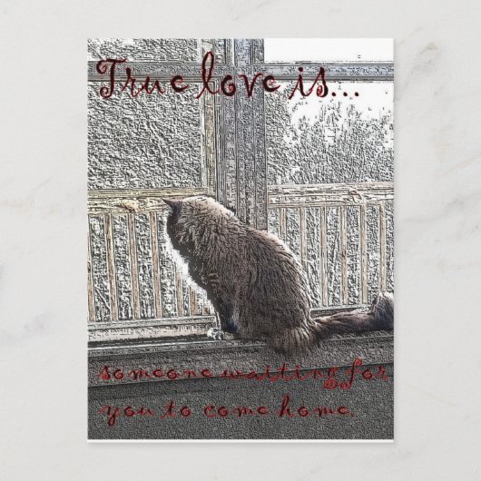 恋が待っている ポストカード (正面)