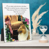 恋が育つセーブルのラフなコリー フォトプラーク (側面)