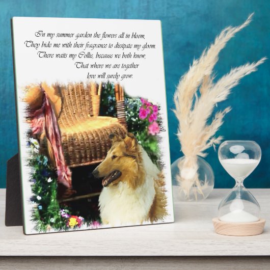 恋が育つセーブルのラフなコリー フォトプラーク (側面)