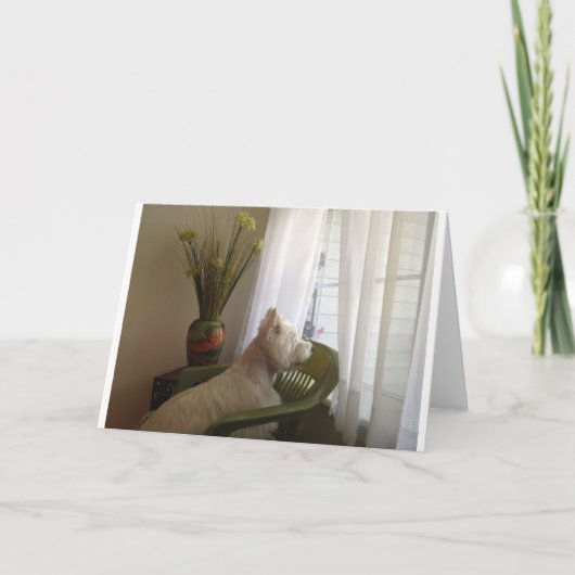 恋しく思います… カード (正面)