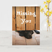 恋しく思います(黒い実験室) カード (黄色い花)