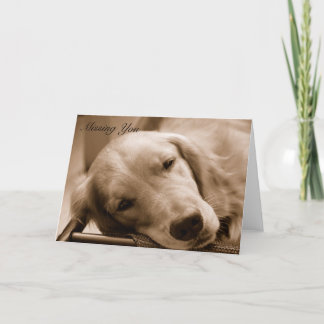 恋しく思うこと カード