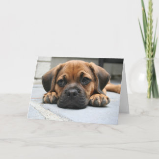 恋しく思うこと カード