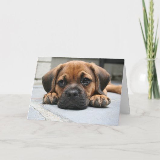 恋しく思うこと カード (正面)