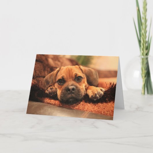 恋しく思うこと カード (正面)