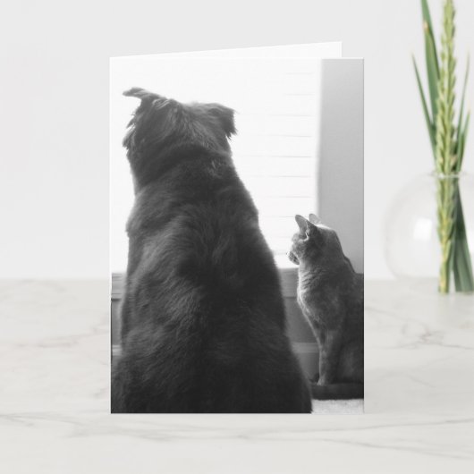 恋しく思うこと カード (正面)