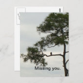 恋しく思お前のオスプレイ ポストカード (正面/裏面)