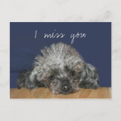 恋しく思お前は ポストカード (正面)