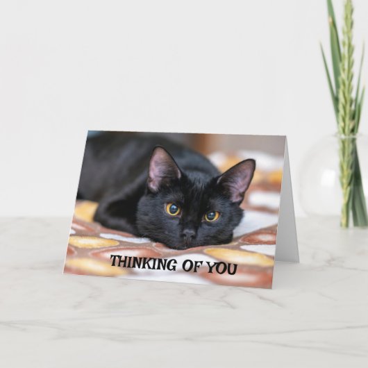 *恋しく思お前考えもだ* カード (正面)