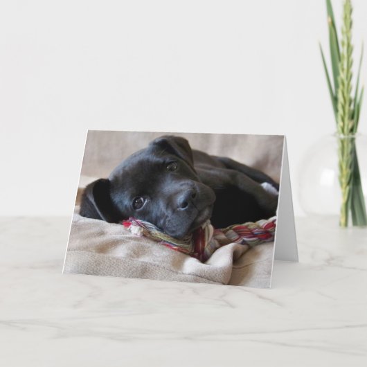 恋しく思お前！ カード (正面)