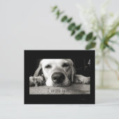 恋しく思お！ ポストカード (スタンド正面)