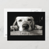 恋しく思お！ ポストカード (正面/裏面)