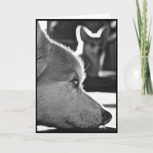 恋しく思っているコーギー カード (正面)