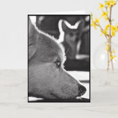 恋しく思っているコーギー カード (黄色い花)