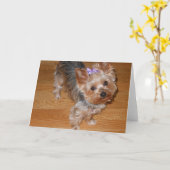 恋しく思って下さい カード (黄色い花)