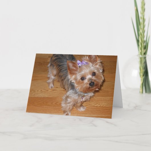 恋しく思って下さい カード (正面)