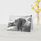 恋しく思って下さい カード (黄色い花)